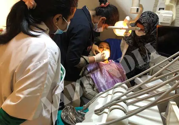 Dentists endodontics clinical practce training courses